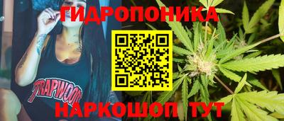 стаф Бугуруслан