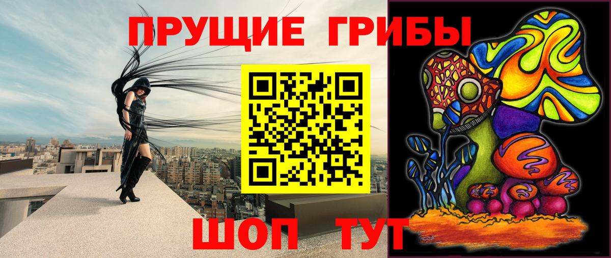 Псилоцибиновые грибы GOLDEN TEACHER  Галлюциногенные грибы Psilocybine cubensis  Королёв  Вход с VPN 
